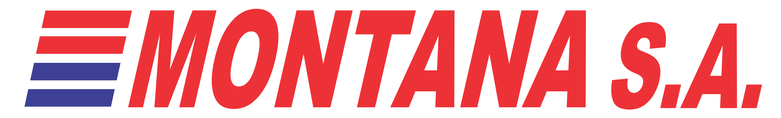 logo montana borde